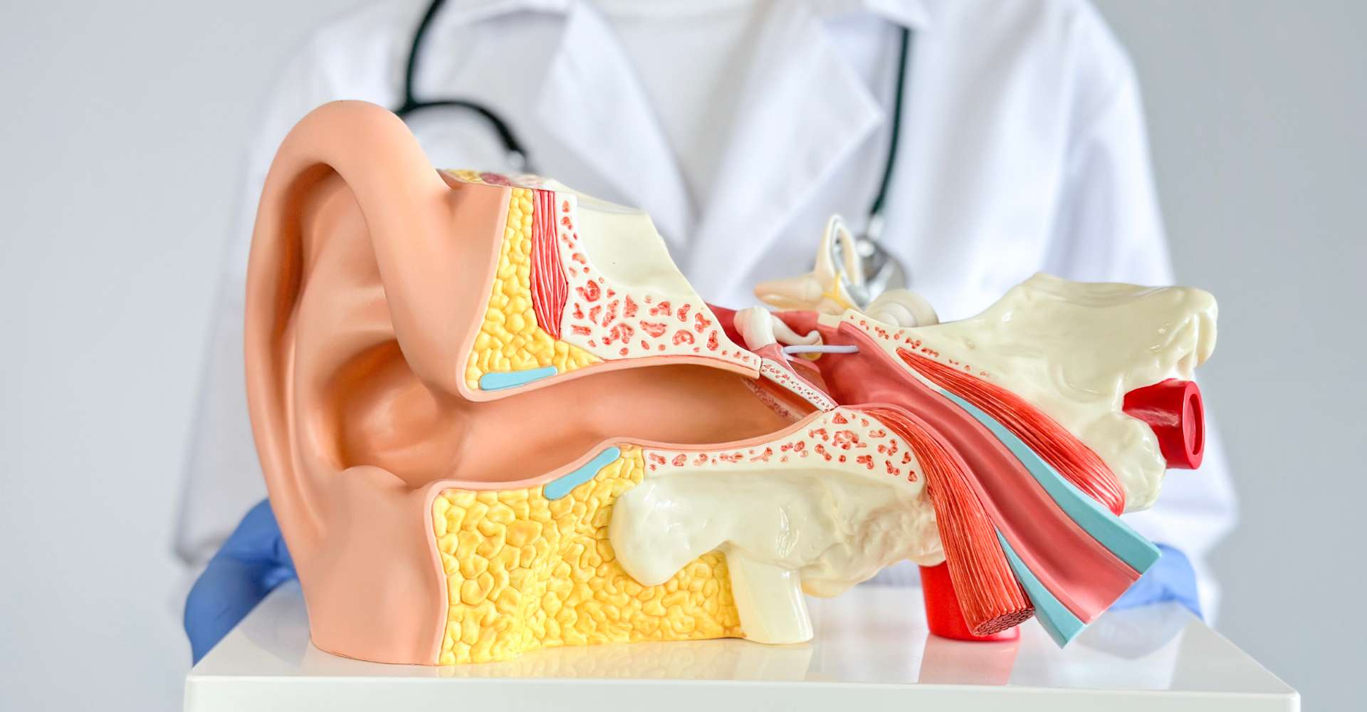 Otorinolaringoiatra Milano Porta Romana